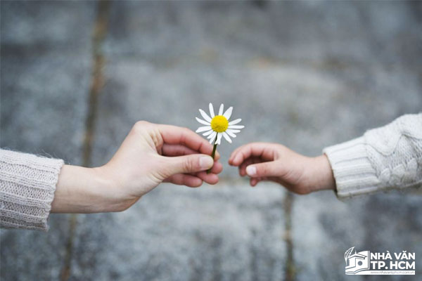 Ý nghĩa của lòng biết ơn